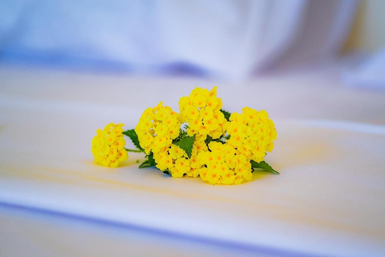 Cambria Hotel Нозі Бе Екстер'єр фото